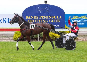 Pasternak furthers legacy of Sundees Son breed with maiden breakthrough