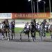 Harry stamps himself as Australasia’s best with emphatic $600,000 TAB Trot win