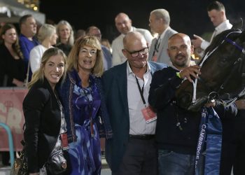 Harry stamps himself as Australasia’s best with emphatic $600,000 TAB Trot win