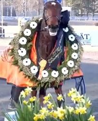 Farjestad feature in Sweden to A Fair Day