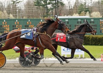 15-1 longshot scores in AHDC Trot