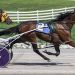 French Wine prevails in KYSS at Oak Grove