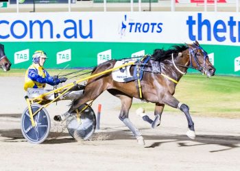 March mania at Aldebaran Park