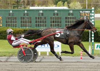 AHDC Trots to Pearly Allen and Yogi Sheridan