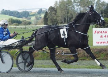 Classy Diamond Creek lineup