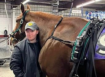Amanda Blackford’s passion is Standardbreds, not hardware