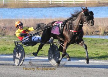 Plainridge distaff feature won wire-to-wire