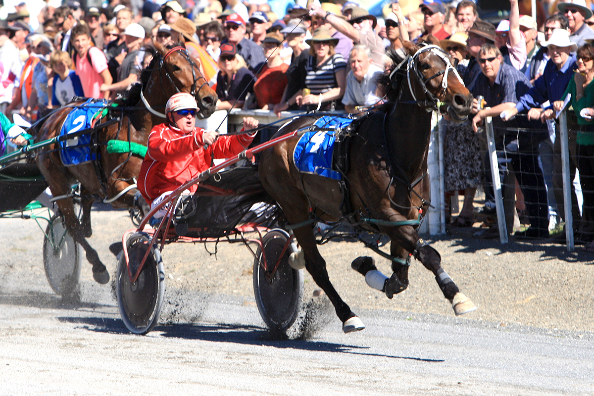 Past Southern Country Cups Winner – Bondy