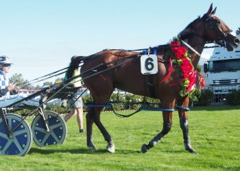 Beach Flybye wins Winton Cup