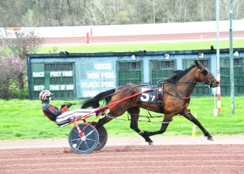 Longshots rule in Weiss Series