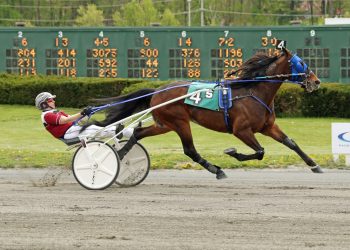 Tony Beltrami, John Calabrese win AHDC trots