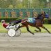 Tony Beltrami, John Calabrese win AHDC trots