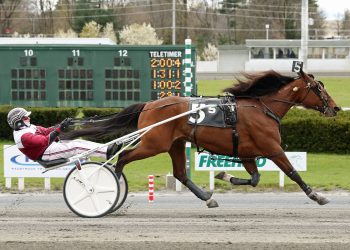 Freehold hosts two division of AHDC trots