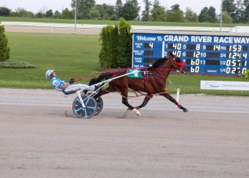 Better Be Gouda wins first Preferred