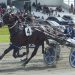 Bettors Anvil wins two year old male feature 3 Bettors Anvil wins two year old male feature