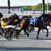 9-1 upset winner in Open Handicap Pace