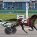 Super Mile LLC, Nappo have big day at Buffalo