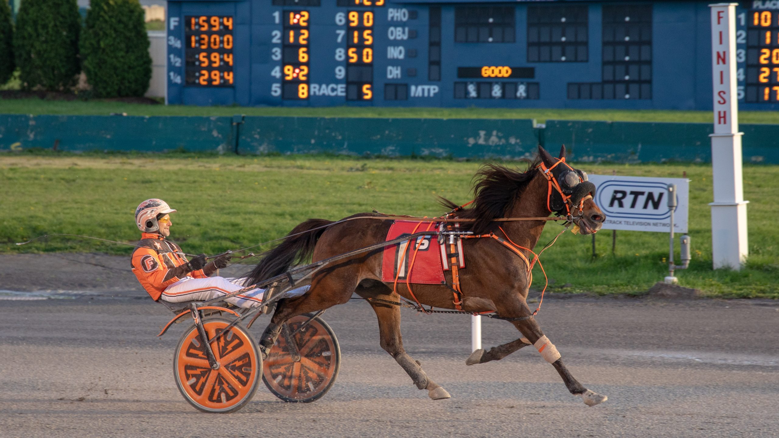 Lougazi, Six Degrees shine in co-feature trot & pace
