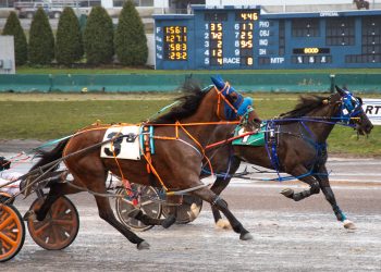 Longshot takes Open Pace at Buffalo