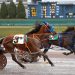 Longshot takes Open Pace at Buffalo 2 Longshot takes Open Pace at Buffalo