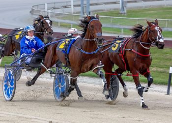 Dunns bank 300th winner