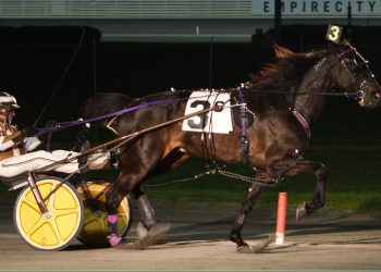 Yonkers hosts NAADA Trots