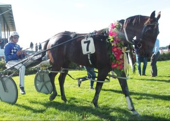 Mistress dominates fillies feature