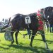Mistress dominates fillies feature