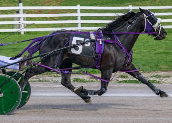 USHDC action at Oak Grove Racing