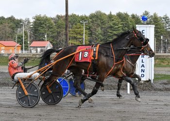 16 length romp in Maine Amateur Driving feature