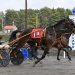 16 length romp in Maine Amateur Driving feature