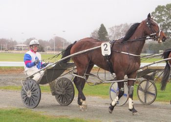 Ferguson looking for another Cup