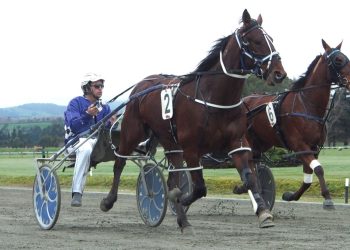 Who’ll reign supreme in Supremacy?