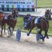2023 Otago Harness Award winners announced