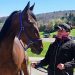 Emily Bost goes from horse riding to harness racing trainer 2 Emily Bost goes from horse riding to harness racing trainer
