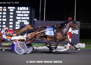 Emmetts Buddy returns a winner