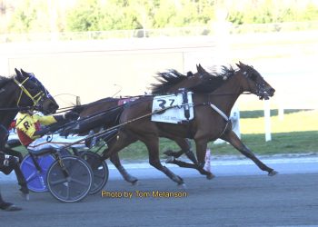Lifetime mark taken in Plainridge Park feature