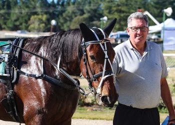 Four Wise Women wins on debut