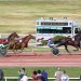 Feux Verts takes feature at Hippodrome Nancy