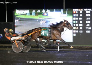 Ontario champion victorious in four-year-old debut