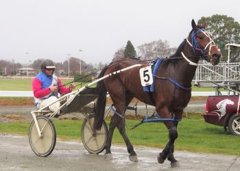 Stratford’s seven for Wairio