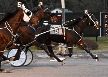 33-1 longshot upsets in Open Pace