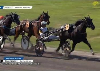 High On Pepper takes Orebro International