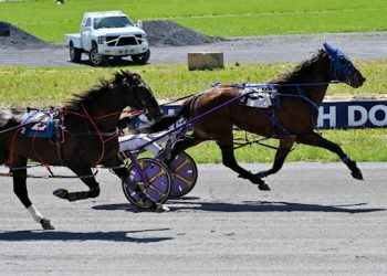 First USHDC event at Shenandoah Downs