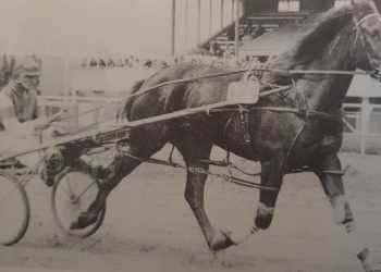 Past Southland Oaks Winner-Josephine Bret