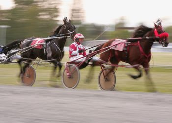 Wagering changes at Fraser Downs