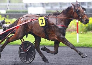 Longshot Key Lady upsets at Vincennes