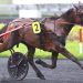 Longshot Key Lady upsets at Vincennes