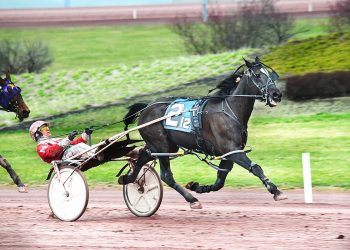 Game Of Claims Series back in action