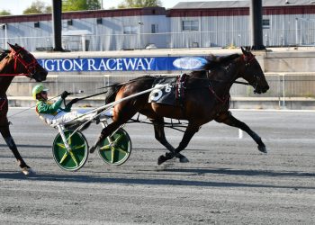 Tough New Zealand mare wins Open Pace
